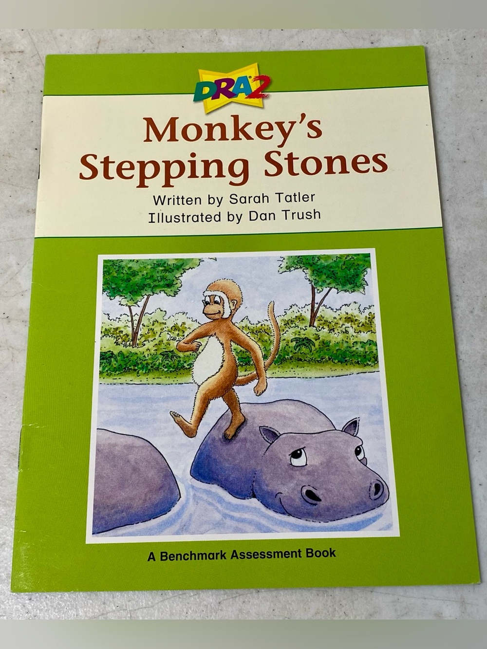 Monkey’s Stepping Stones (A Benchmark Assessment Book Level 16) - Paperback - VG